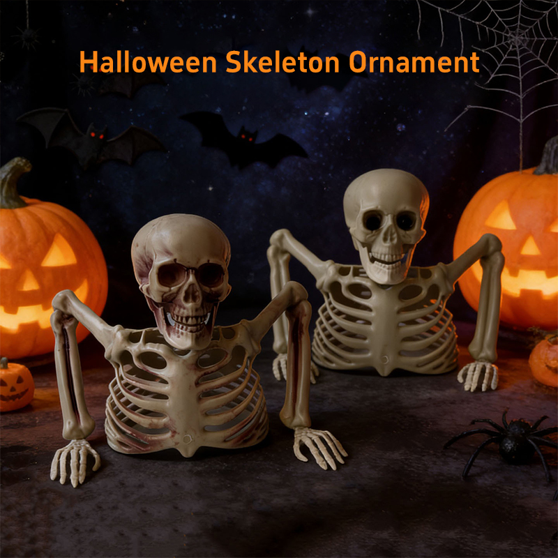 Horror Half Skeleton Skull Orn - Halloween Skeleton Decoration review and price