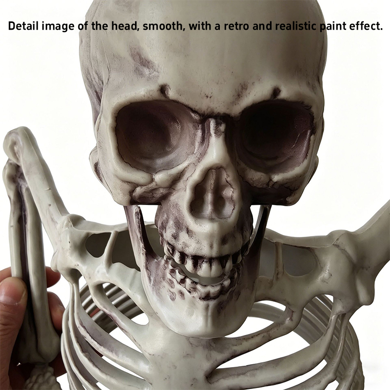 Horror Half Skeleton Skull Orn - Halloween Skeleton Decoration review and price