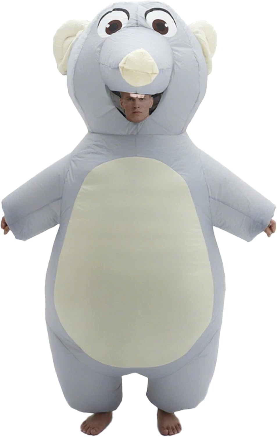 Inflatable Mouse Costume for A - Halloween Costume Adult review and price